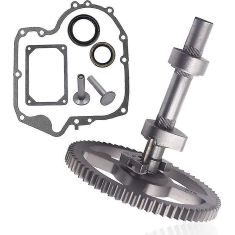 Kit d'arbre à cames 84005207 793880 compatible avec Briggs & Stratton 84005207 793880 793583 790400 792681 791942 795102 avec joint 697110 et 690564 (1/4)