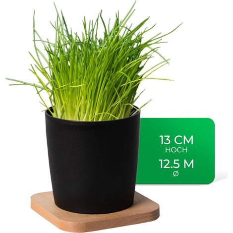 Novaliv Pot à herbes élégant avec base en bois pour chaque rebord de fenêtre, pour herbes de cuisine fraîches, jardin d'herbes aromatiques pour la