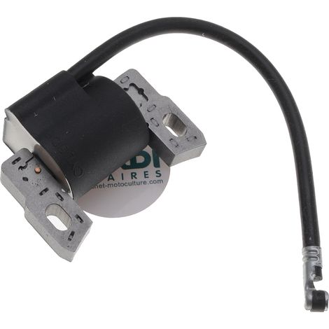 Jardiaffaires – Bobine d'allumage adaptable pour moteur Briggs Stratton – Remplace 793449, 796499, 592335, 595554 – Montage sans modification