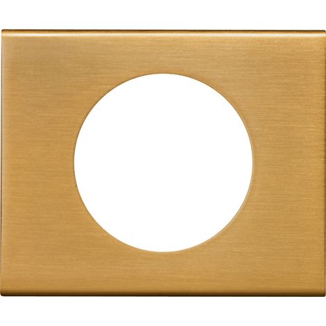Legrand – Plaque de finition 1 poste Céliane dorée – Compatible mécanismes Céliane – Installation simple avec support Batibox – Aspect élégant