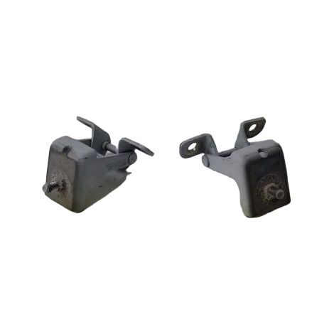 Jeu Charniere Hayon RENAULT Clio (1/2)