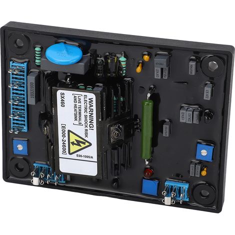Régulateur de tension pour générateur sans balais monophasé automatique 95-132 V 190-264 V CA (1/5)