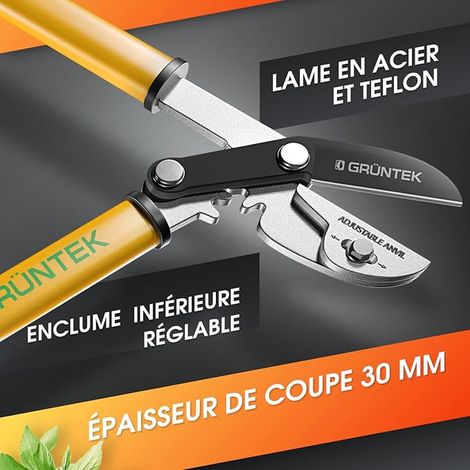 Branch Cutter Shears with Pruning Shears (1/3)