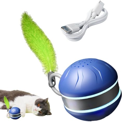 Balle Pour Chat 2 Vitesses Type C Rechargeable Jeux (1/5)