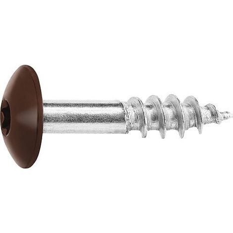 Vis pour panneaux stratifiés A4, 5,5 x 25, RAL 8014 brun sepia, UE : 100