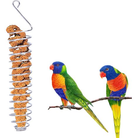 Mangeoire à oiseaux en spirale en acier inoxydable, distributeur de fruits pour perroquets (1/5)