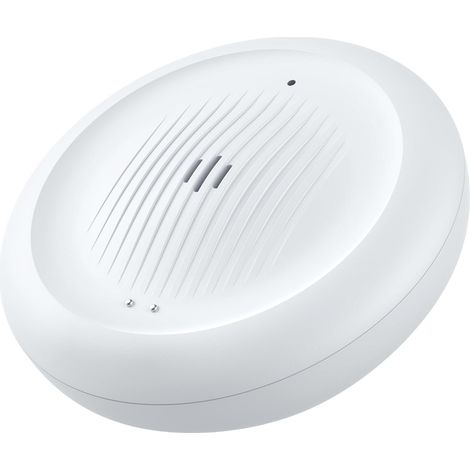 Détecteur Wi-FI de Fuite d’Eau et de Basse Température, Capteur Intelligent 2-en-1 avec Alertes sur l’App, pour Cuisine, Salle de Bain, sous-Sol, Lot de 1 (1/5)