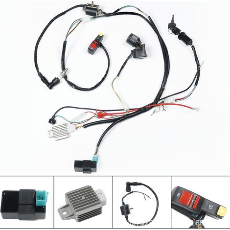 Accessoires pour motos tout-terrain, quads et véhicules de plage (50-110 cm³) : faisceau électrique complet, système d'allumage, CDI (1/5)