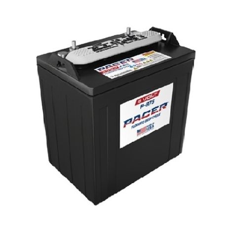 Batería TROJAN/PACER T875 Cíclica 8V 183Ah