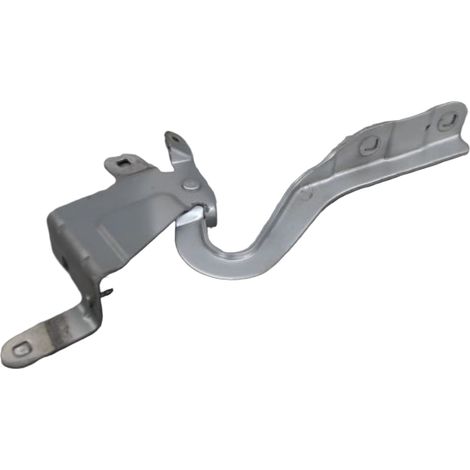 Compas Gauche Capot RENAULT Clio [PRODUIT D'OCCASION]♻️654010257r (1/3)