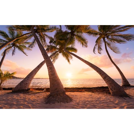 Papier peint panoramique maritim,naturel Atteindre le Soleil (1/4)