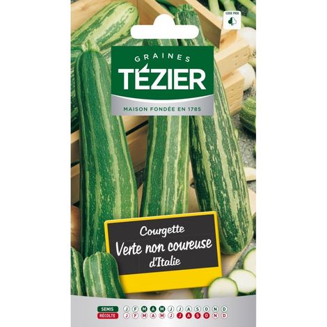 Tezier - Courgette verte non coureuse dItalie