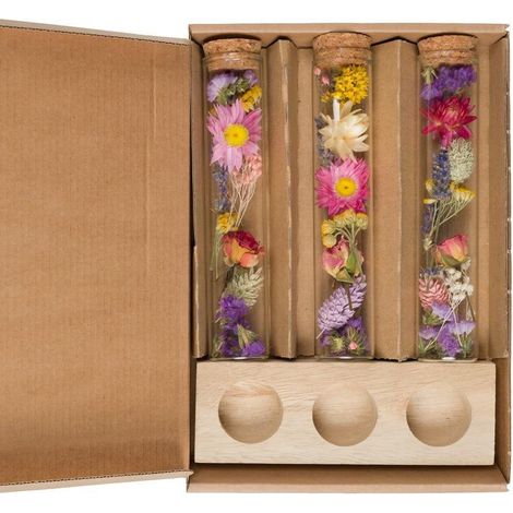 Fleurs Séchées Message in a Box, Lot de 8 Pièces, Couleurs Variées, Format Large, 15 cm - PANGIVO