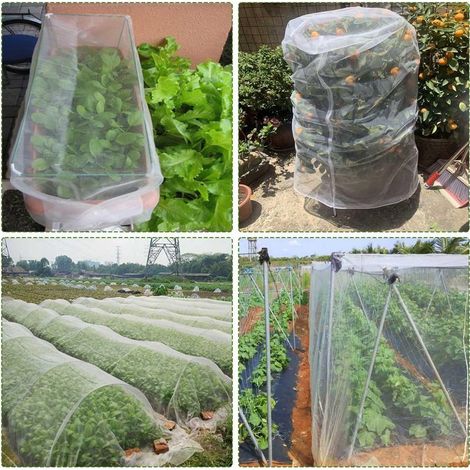 Weißes Insektennetz für Gemüsegärten 3 x 6 m, Schutz für Pflanzen, Blumen, Gemüse und Obst (1/4)
