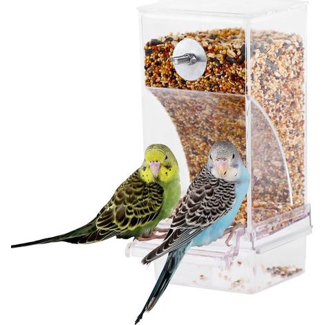 Comedero para pájaros, Comedero automático antiderrame para pájaros en jaula, Comedero loros jaula percha transparente depósito comida acrílico (1/5)