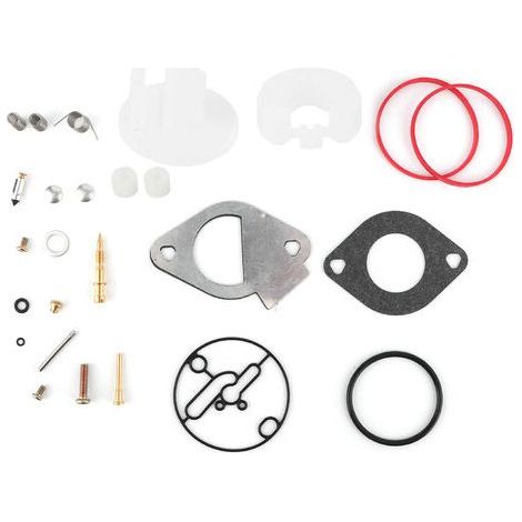 LaBlanc – Vergaser-Reparatursatz für Briggs Stratton 796184 796081 790727 Master-Überholung Nikki (1/5)