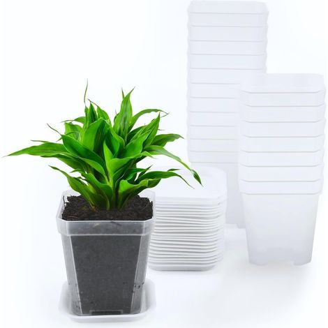 (24 Pièces) Pots de Plantes Carrés Clairs, 7cm Épaissir Pots de Fleurs en Plastique Jardinière Succulente Pots de Pépinière avec Palette/Plateaux (1/4)