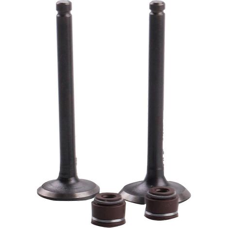 soupapes d'admission et d'échappement de 23 mm pour motos de 50 à 110 cm³ (compatibles avec les modèles Stable). (1/5)
