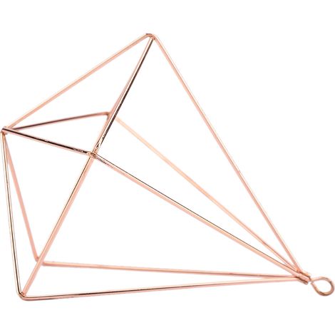 Support suspendu géométrique pour plantes, suspension pour fleurs, mousse et fougère (or rose) (1/5)