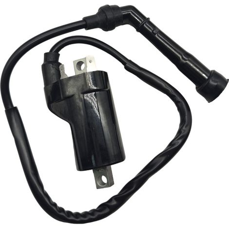 Pièces de rechange pour bobines de stator de magnéto CG125 à 8 pôles et bobines de générateur pour motos.