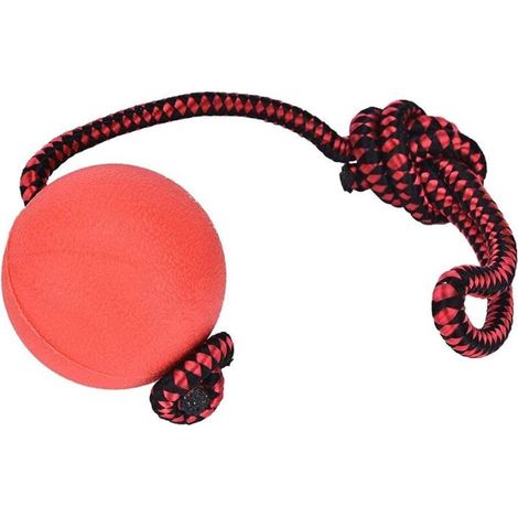 3-teiliges Set Hundespielzeug, Haustierspielzeug, Katzenkauspielzeug mit Gummibändern (1/4)