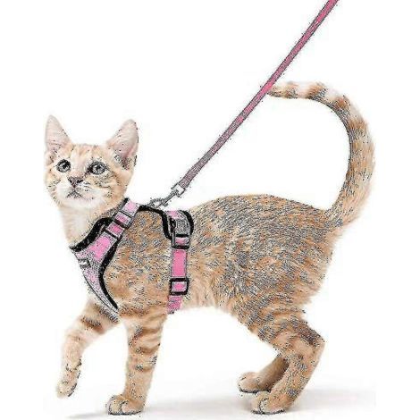 Rabbitgoo Katzengeschirr mit Leine, weiches und verstellbares Ausbruchschutz-Westengeschirr für Katzen, leicht zu handhaben – Größe XS – Rosa (1/5)