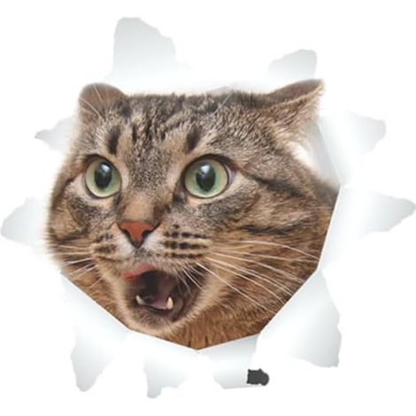 Abnehmbare 3D-Katzentoiletten-Aufkleber – Wanddekoration für Zuhause