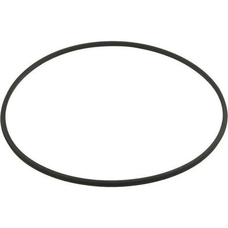 Hayward – Joint torique de corps de filtre – Métal renforcé noir – Étanchéité optimale pour filtre à diatomées – Modèle DEX2422Z2