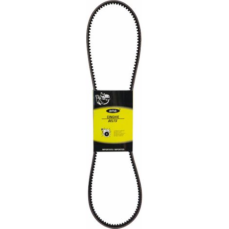 Courroie crantée 2.4119.113.0 Type AVX10 adaptable SAME (1/2)