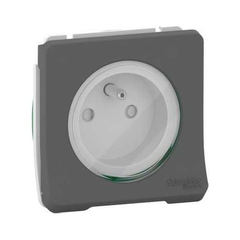 Schneider Electric – Prise de courant composable 2P+T à vis – IP55 – IK08 – gris RAL 7016 – Mécanisme auto-extinguible pour chantiers humides