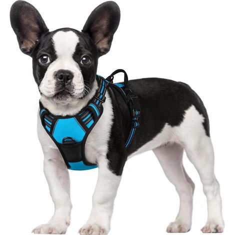 Harnais chien anti-traction Rabbitgoo S bleu clair réglable réfléchissant attache avant (1/5)