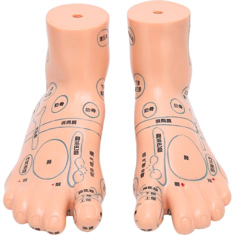 2 pièces Modèle de Pied d'Acupression 19cm / 7.5 pouces, Matériel Pédagogique pour Acupuncture
