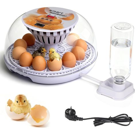 Automatischer Eierbrutapparat für Hühner, fasst bis zu 12 Eier, vollautomatische Eierwende, Temperatur- und Feuchtigkeitsregelung (1/5)