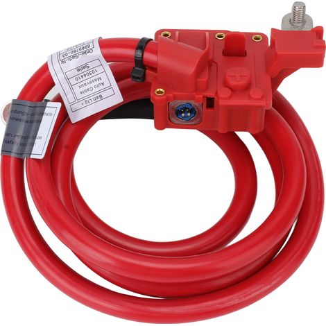 cavi di protezione della batteria 61126989780 e 6989780-03 sono adatti per BMW Serie 5 E60 (modelli 2003-2007).