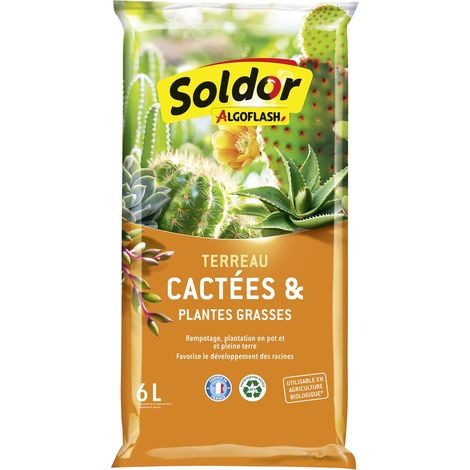 Terreau Cactées et Plantes Grasses, Prêt à l'Emploi, Fabriqué en France, 6 L, TCAC6 (1/5)