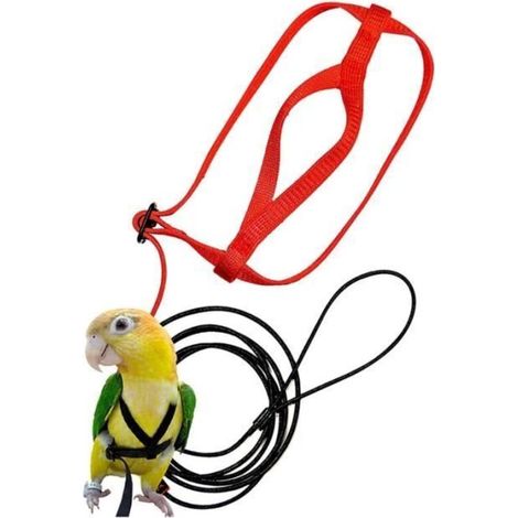 Harnais et Laisse pour Oiseaux, Laisse pour Harnais RéGlable pour Perroquet - Corde de Dressage pour Animaux de Compagnie