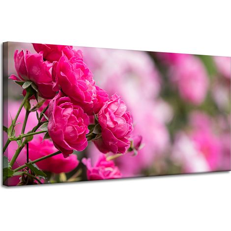 Leinwanddruck „Botanische rosa Rosen“, 120 x 60 cm