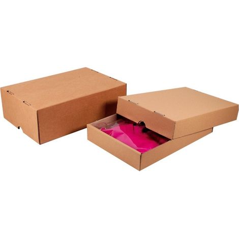 Caisse télescopique 305 x 215 x 50/90mm - COLIS 25 FONDS+COUVERCLES (1/4)
