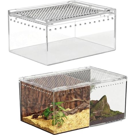 2 Terrariums en Acrylique, Mini Terrarium Transparent 20 15 10CM, Boîte d'alimentation en Acrylique pour Reptiles, Boîte d'Élevage pour Araignées, Scorpions et Mantes Religieuses-Habitat (1/5)