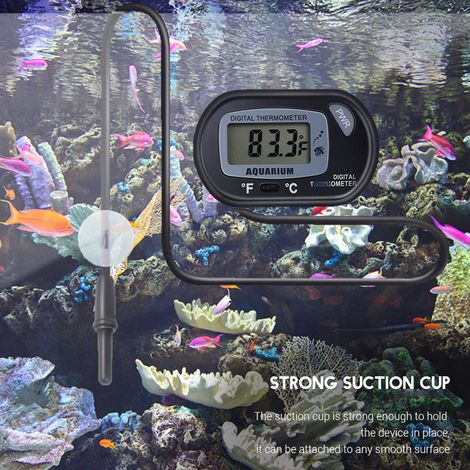 Thermomètre Numérique LCD pour Aquarium avec Ventouse - Température Eau Terrarium Poissons et Reptiles