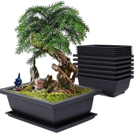 Lot de 6 Pot pour Bonsai avec Soucoupe, 16x12x6cm Pots de Fleurs en Plastique avec Outillage de Jardin, Pot Bonsai Rectangulaire avec Trou d'échappement pour Jardins Balcon Extérieur Intérieur