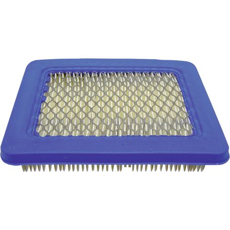 Filtro aria BRIGGS STRATTON 118550257/0 491588S 494245 399959 4101
