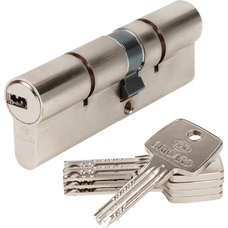 Cylindre de porte Bricard Astral 15791 débrayable 45+55 mm 4 clés sécurité 3 (1/4)
