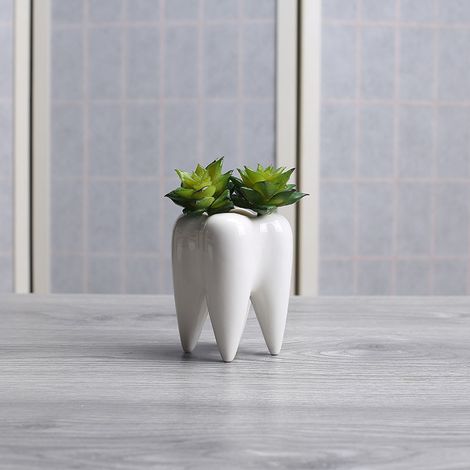 2pcs White Cute Tooth Planter Pots Succulent Tooth Planter Pots Creative Ceramic Cactus Pots Mini Fl (1/5)