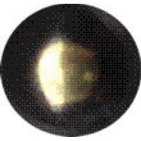 1CF BULLETTE LISCE 9 MM BRONZATO SFUMATO (PZ.1.000) (1/2)