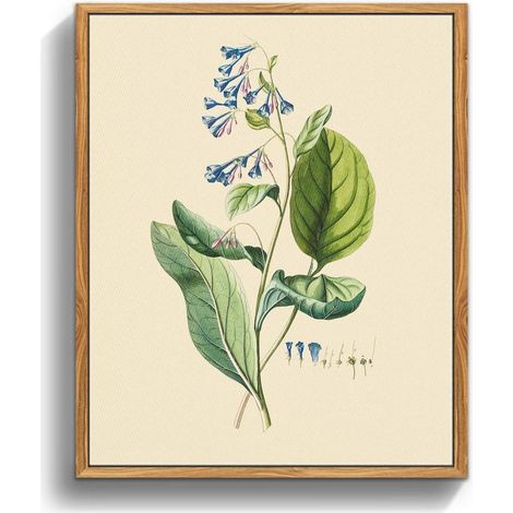 Vintage Botanische Leinwand Bilder mit Holzrahmen 20x25 cm Wohnzimmer Büro (1/5)