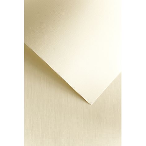 Lienzo de papel decorativo /50 piezas/ Galer铆a de papel 120 g 206102 CREMA