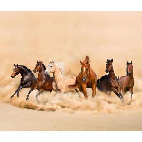 Horses, rideau imprimé 6 magnifiques chevaux qui courent 280x245 cm, 2 pièces (1/3)