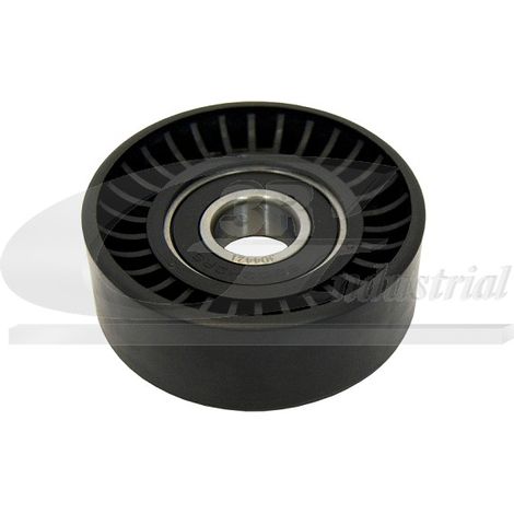 3RG 13234 RODILLO TENSOR