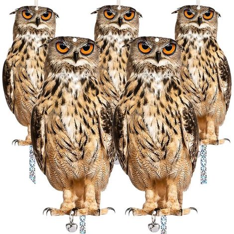Eulenabwehrmittel, Vogelscheuche, Taubenabwehrmittel für den Außenbereich, Abschreckungsband, reflektierendes Band für Vogelscheuchen, reflektier (1/5)